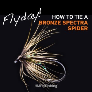 bronze spectra spider photo